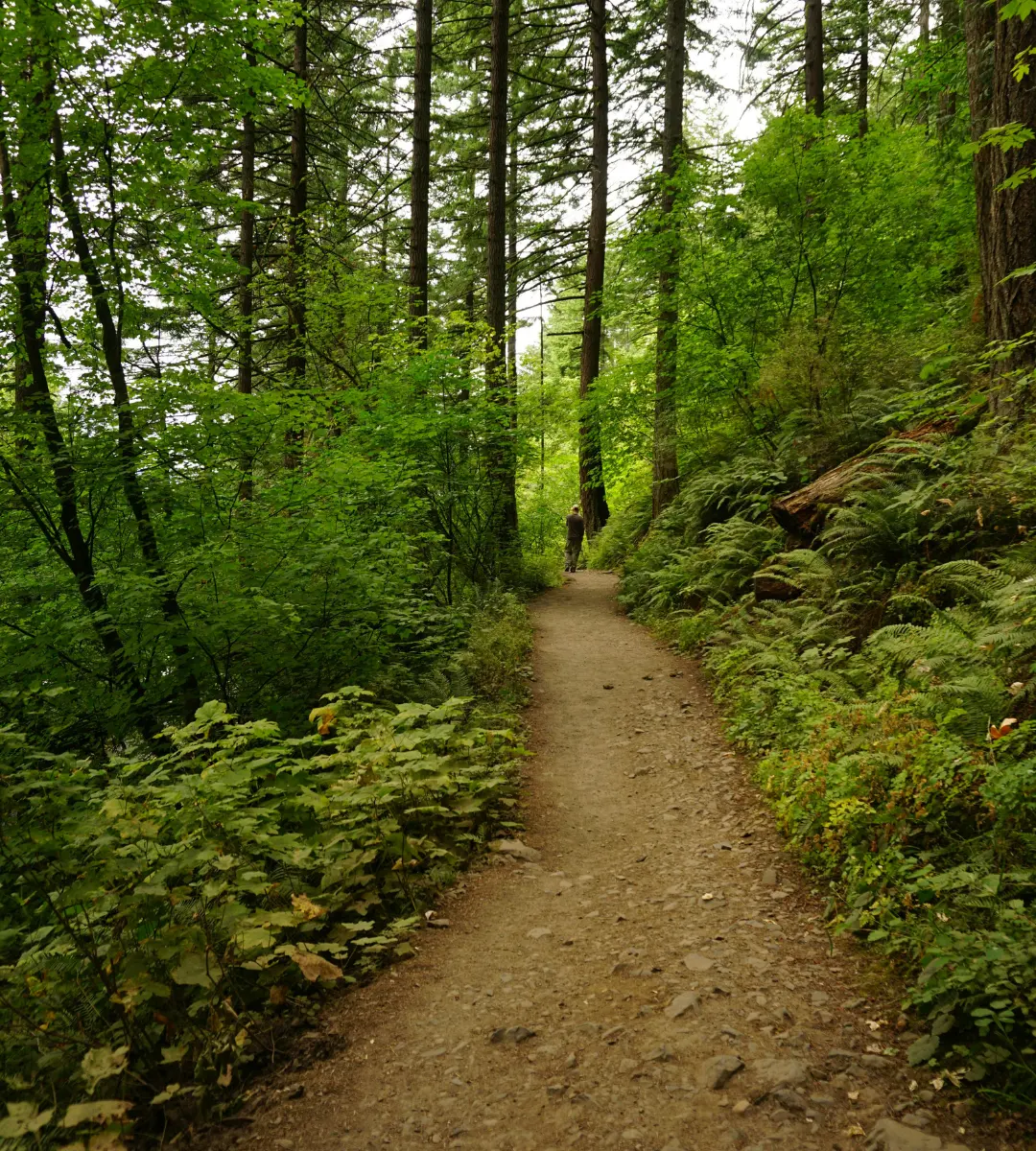 Nature trail route experience.